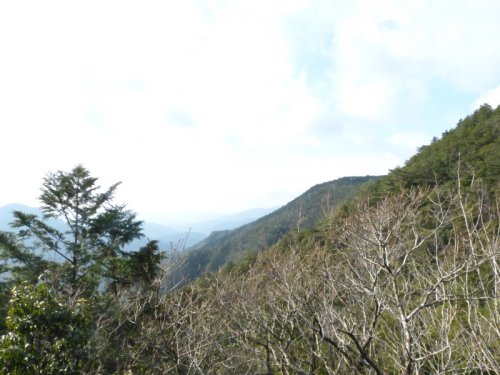 画像15